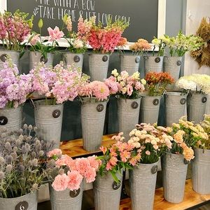 Meet your Posher, Sophie